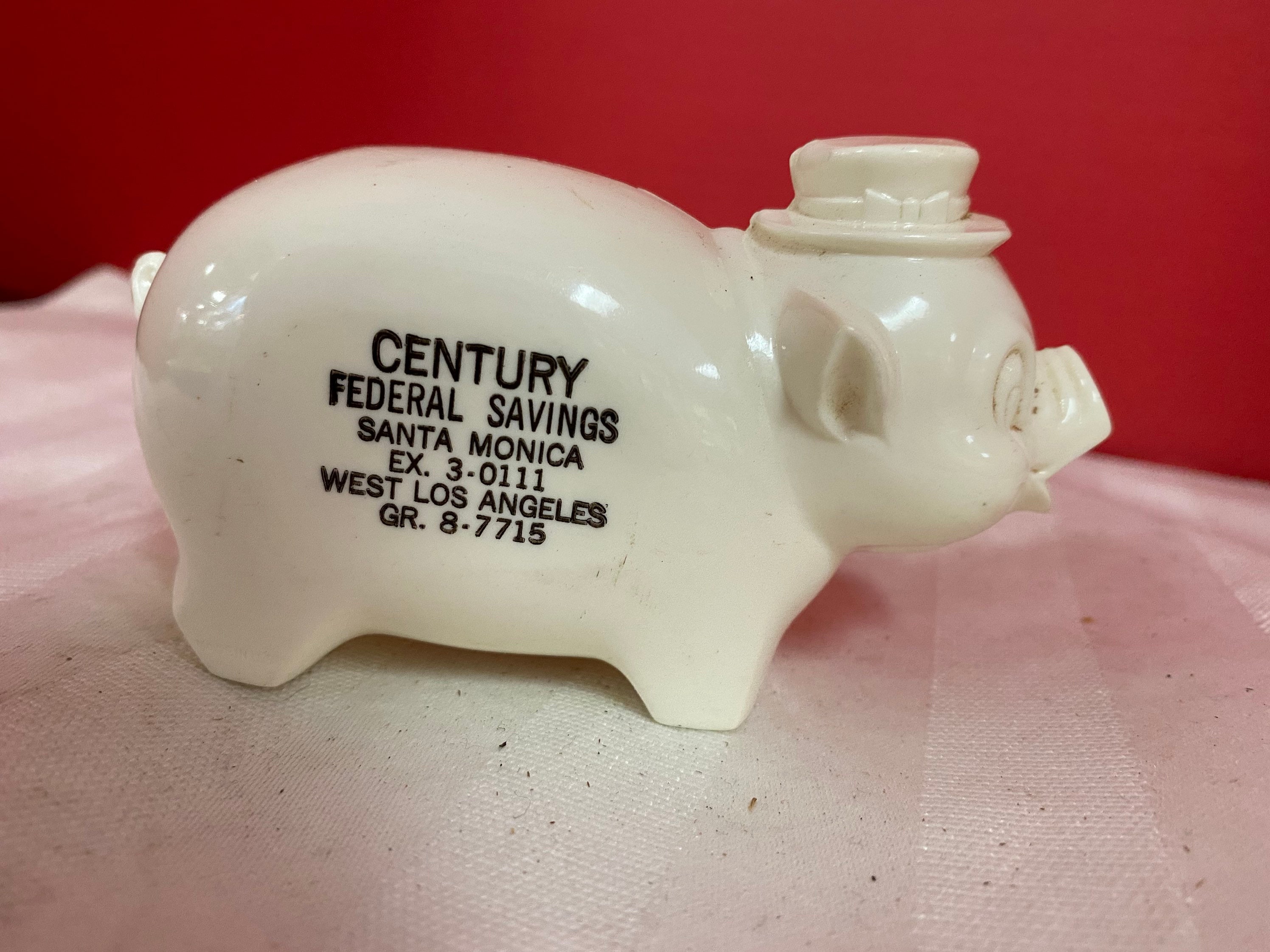 Plastic Piggy Bank