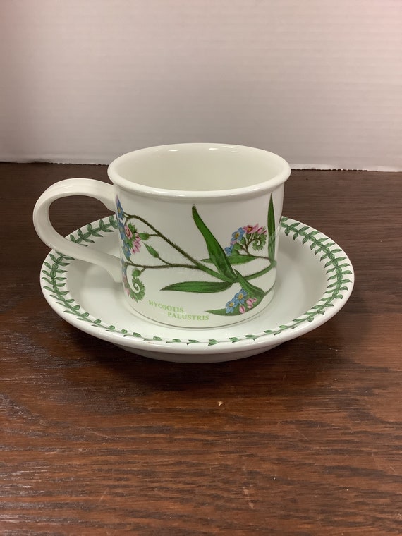 Portmeirion Tea Cup & Saucer