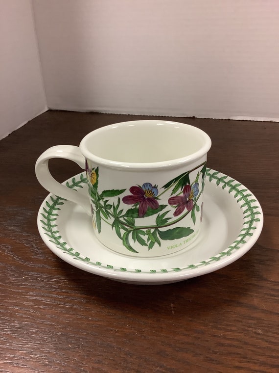 Portmeirion Tea Cup and Saucer