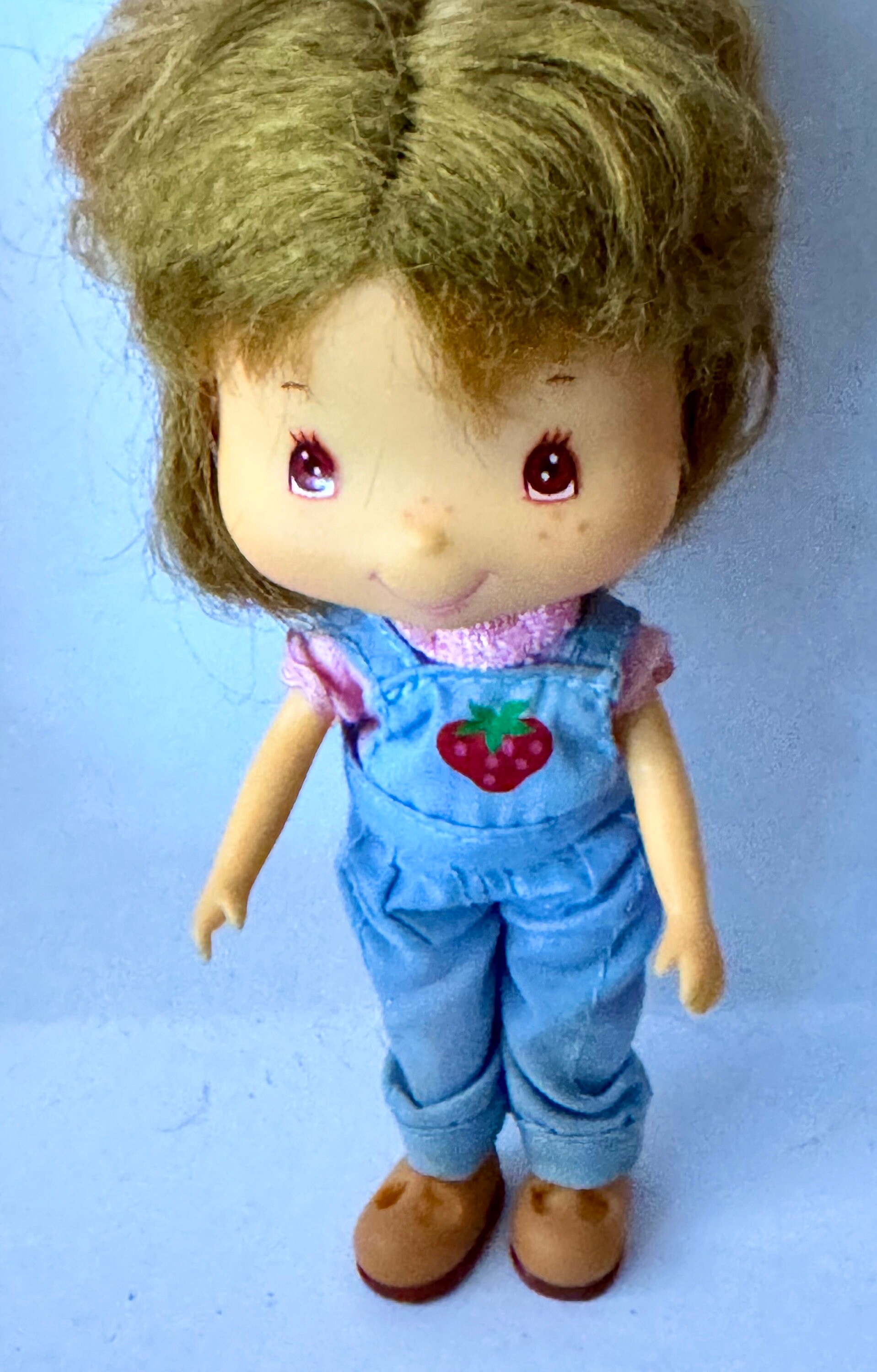 Strawberry Shortcake Doll - Etsy