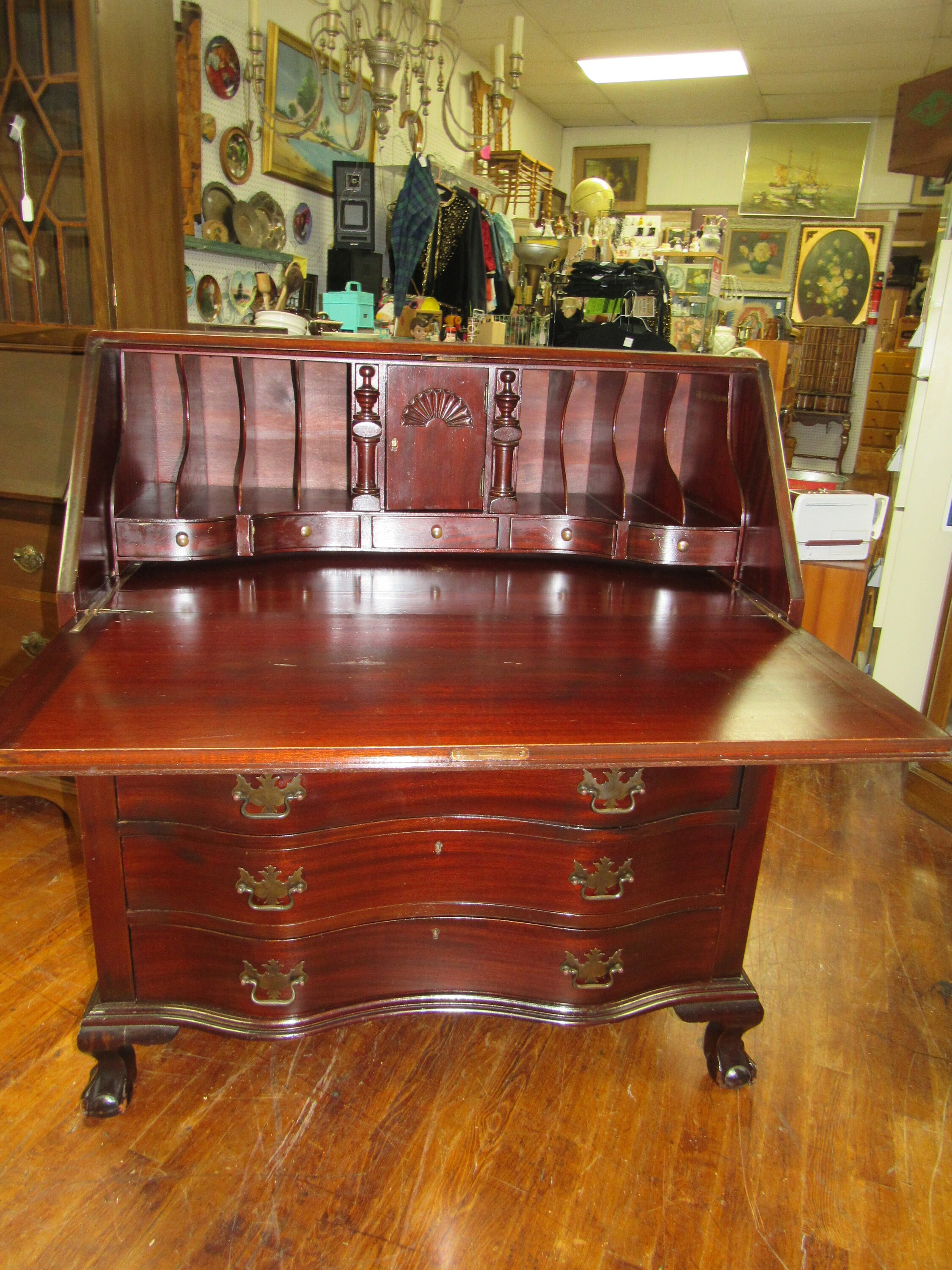 gallery photo