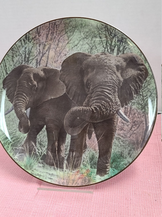 African Elephant plate