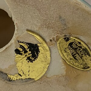 May include: Close-up of a white ceramic figurine with a gold sticker that reads "&copy; Disney Productions".