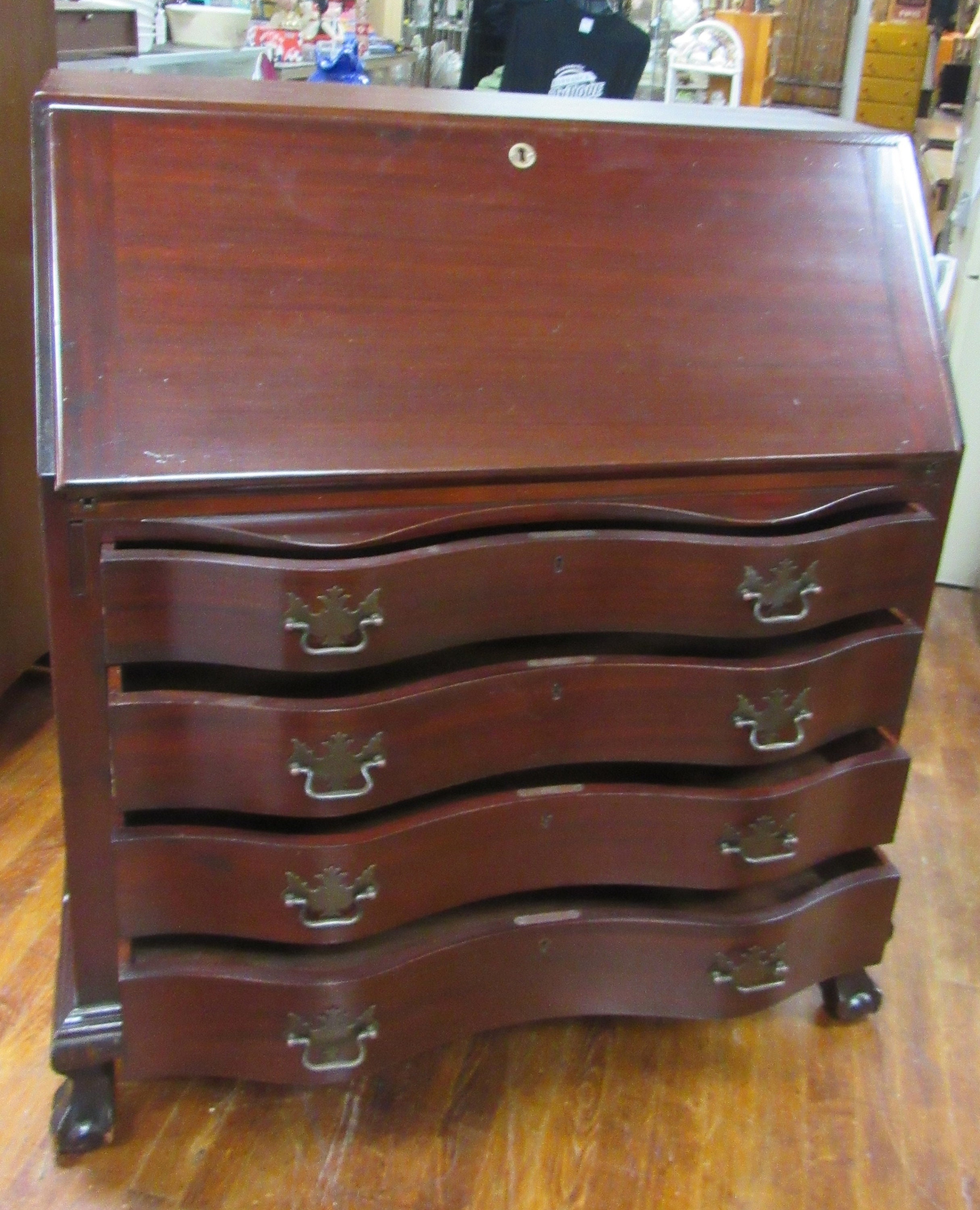gallery photo