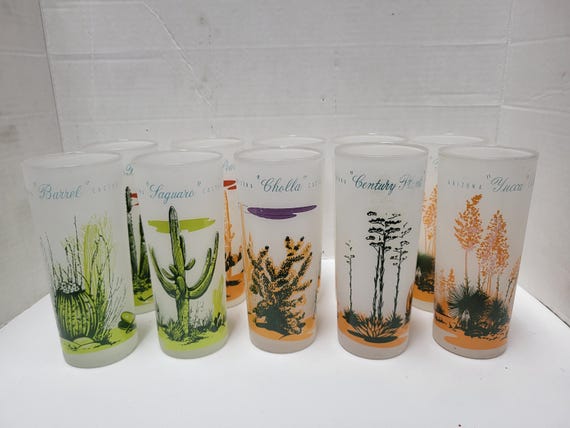 Arizona Frosted Tumblers