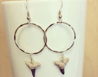Silver Shark Tooth Earrings, Hammered Hoops