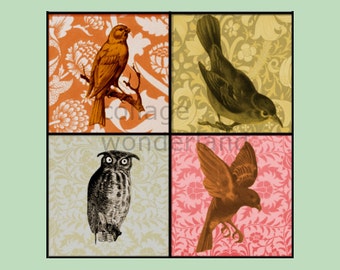Bird digital collage sheet - 1 inch squares - floral pattern digital collage with colorful images of birds.