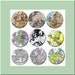 see more listings in the 1 inch circle collages section