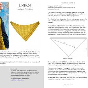 Limeade Shawl PDF Pattern Filet Crochet image 2