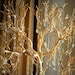 see more listings in the wedding wish trees section
