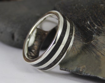 Silver Ring With Tektite Meteorite and Megalodon Tooth, Fossil Ring, Dinosaur Bone Ring, Meteorite Ring