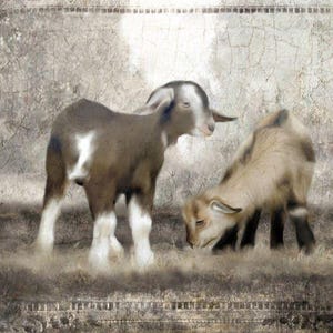 Stampa artistica vintage di due capretti in stile francese