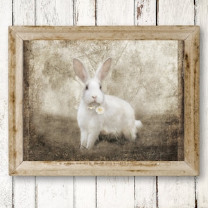 White Bunny Rabbit Art Print -  French Country Farm Vintage Wall Decor, Bunny Rabbit Easter Art, French Country Cottage Animals Collection