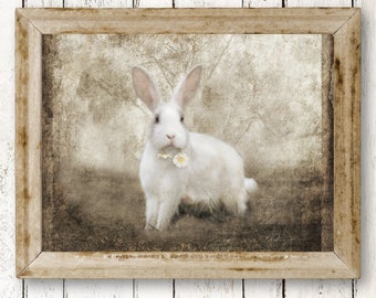 White Bunny Rabbit Art Print -  French Country Farm Vintage Wall Decor, Bunny Rabbit Easter Art, French Country Cottage Animals Collection