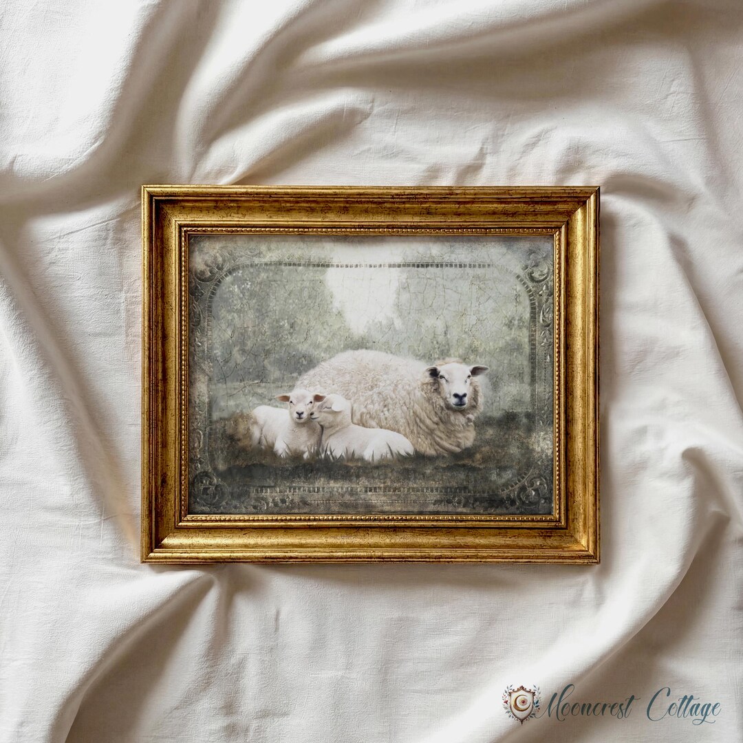 Vintage Sheep Lambs Art Print – Neutral Farmhouse Wall Decor | Rustic ...