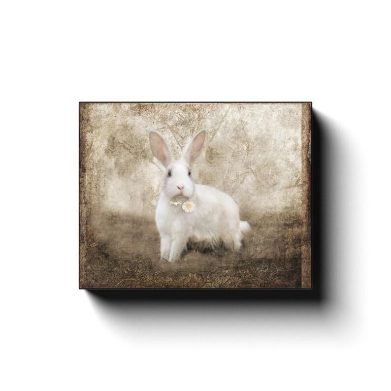 Rabbit Canvas Farmhouse Wall Art Country Cottage Art Rabbit Art Print Rabbit Painting Vintage Rabbit Painting Rustic Glam Decor