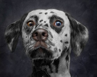 Custom Portrait, Custom Pet Portrait, Custom Dog Portrait, Personalized, Custom Digital Dog Portrait,Custom Dalmatian Portrait by Artimoment