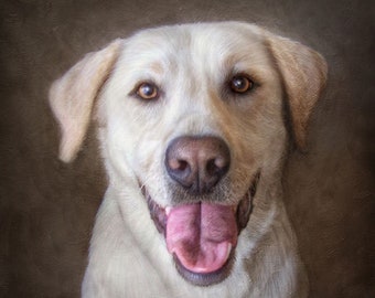 Puede incluir: Un retrato de cerca de un perro Labrador Retriever blanco con ojos marrones. El perro está sonriendo con la lengua fuera. El fondo es una superficie marrón texturizada.