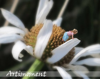 Custom Photo Art, Wild Daisy, Custom Image on White Wild Daisy, Custom Photo Editing, Custom Portrait, Kids wall art, Wonderland series