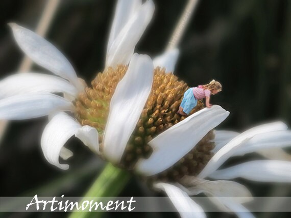 Custom Photo Art, Wild Daisy, Custom Image on White Wild Daisy, Custom Photo Editing, Custom Portrait, Kids wall art, Wonderland series