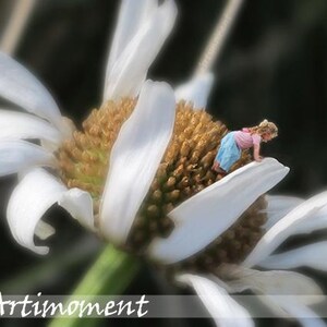 May include: A small girl in a pink shirt and blue skirt climbs on a large white daisy.