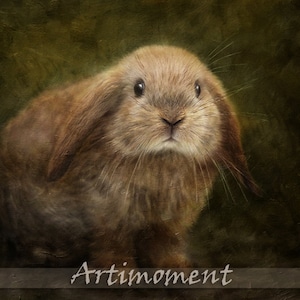 May include: A close-up of a brown and white rabbit with floppy ears. The rabbit is looking directly at the camera with a curious expression. The background is a soft, green, textured surface.