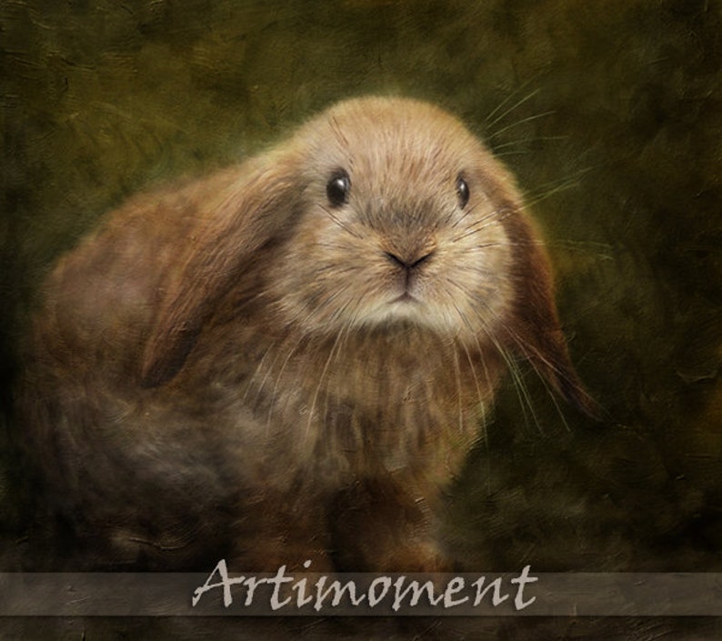May include: A close-up of a brown and white rabbit with floppy ears. The rabbit is looking directly at the camera with a curious expression. The background is a soft, green, textured surface.