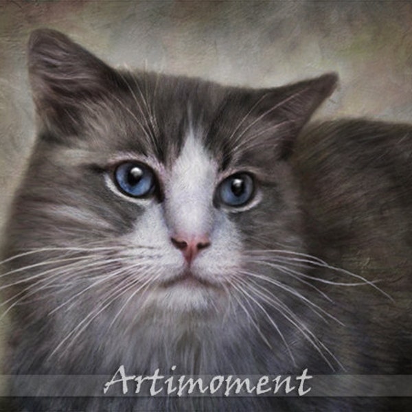 Custom Portrait, Custom Pet Portrait, Custom Cat Portrait, Custom Persian Cat Portrait, Custom Digital Portrait, Painting by Artimoment