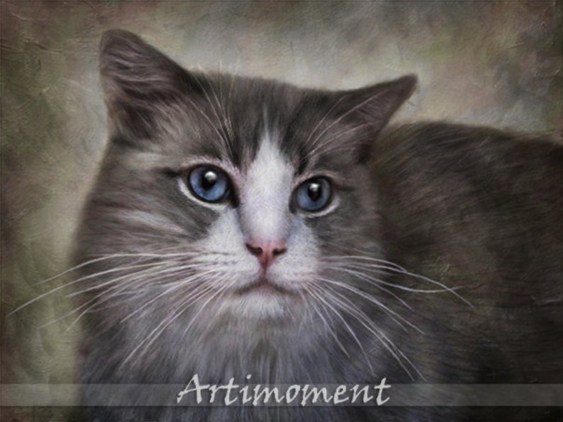 May include: A close-up portrait of a gray and white cat with blue eyes. The cat is looking directly at the camera with a soft expression. The background is a blurred, textured, light brown color.