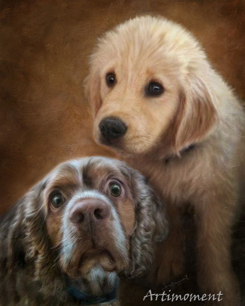 Może przedstawiać: Portret zbliżeniowy dw&oacute;ch ps&oacute;w. Brunatno-biały spaniel z opadającymi uszami i złotego retrievera szczeniaka z ciekawskim wyrazem twarzy. Psy patrzą w obiektyw.