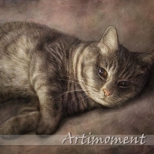 May include: A close-up of a tabby cat lying on a textured brown surface. The cat has brown and white fur and is looking to the side. The cat's eyes are closed and its mouth is slightly open. The cat's whiskers are visible. The image is titled "Artimoment".