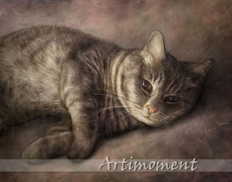 May include: A close-up of a tabby cat lying on a textured brown surface. The cat has brown and white fur and is looking to the side. The cat's eyes are closed and its mouth is slightly open. The cat's whiskers are visible. The image is titled "Artimoment".