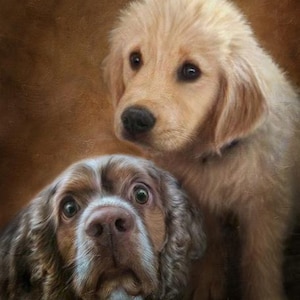 Może przedstawiać: Malowidło przedstawiające dwa psy, golden retrievera i brązowo-białego springera, patrzące w stronę kamery. Golden retriever znajduje się w tle, a springer na pierwszym planie. Obraz ma vintage'owy, fakturowany wygląd.