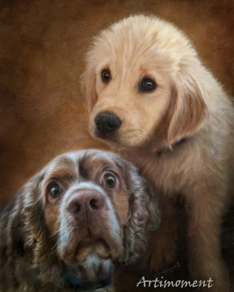Może przedstawiać: Malowidło przedstawiające dwa psy, golden retrievera i brązowo-białego springera, patrzące w stronę kamery. Golden retriever znajduje się w tle, a springer na pierwszym planie. Obraz ma vintage'owy, fakturowany wygląd.