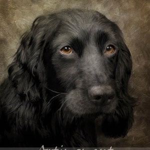 May include: A close-up portrait of a black dog with brown eyes. The dog has long, black fur and a serious expression. The background is a textured, brown canvas.