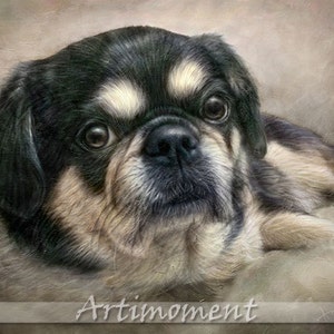Retrato personalizado, Retrato personalizado de animal de estimação, Pintura personalizada de cachorro, Retrato digital personalizado de cachorro, Retrato personalizado de Spaniel Tibetano, Artimoment imagem 1