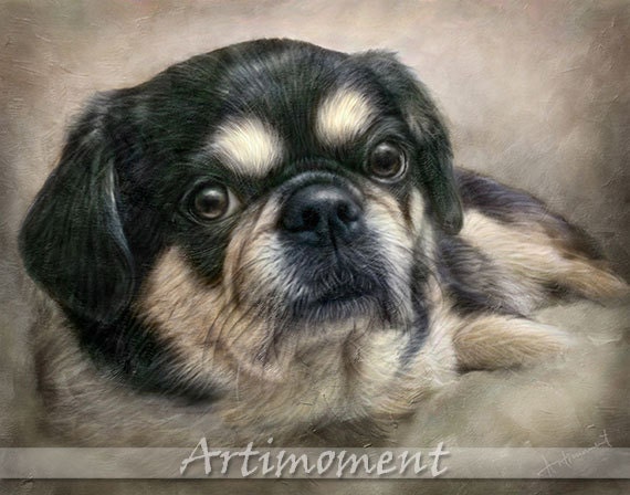Custom Portrait, Custom Pet Portrait, Personalized Dog Painting, Custom Digital Dog Portrait, Custom Tibetan Spaniel Portrait,  Artimoment