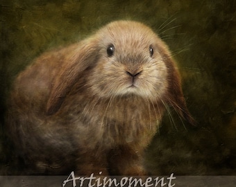 Custom Portrait, Custom Pet Portrait, Personalized Rabbit Portrait, Bunny Portrait, Custom Digital Painting, Drawing Painting From a Photo