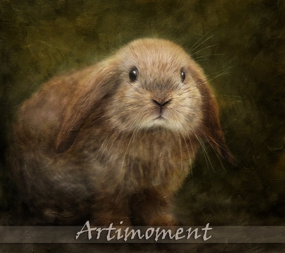 Custom Portrait, Custom Pet Portrait, Personalized Rabbit Portrait, Bunny Portrait, Custom Digital Painting, Drawing Painting From a Photo