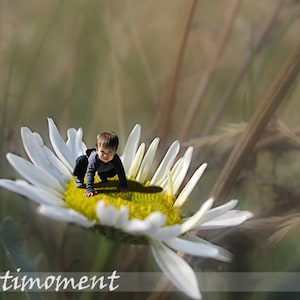 Custom Photo Art, Daisy, Custom Image on Daisy, Custom Photo Editing, Custom Portrait, Kids, Wall Deco, The Little in Wonderland Series image 1