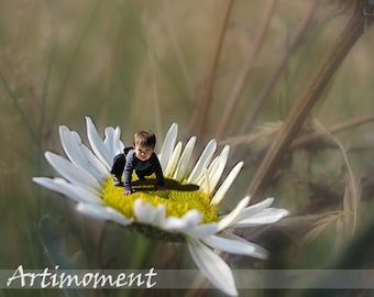 Custom Photo Art, Daisy, Custom Image on Daisy, Custom Photo Editing, Custom Portrait, Kids, Wall Deco, The Little in Wonderland Series