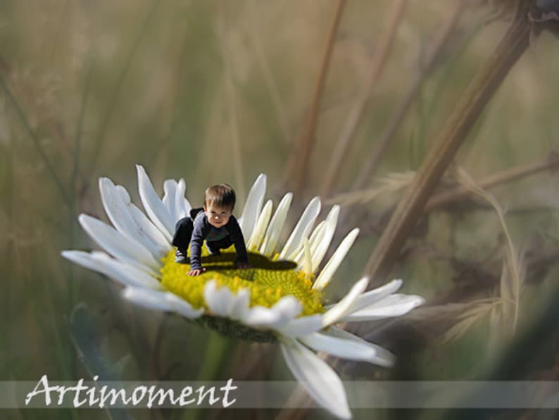 Custom Photo Art, Daisy, Custom Image on Daisy, Custom Photo Editing, Custom Portrait, Kids, Wall Deco, The Little in Wonderland Series image 1