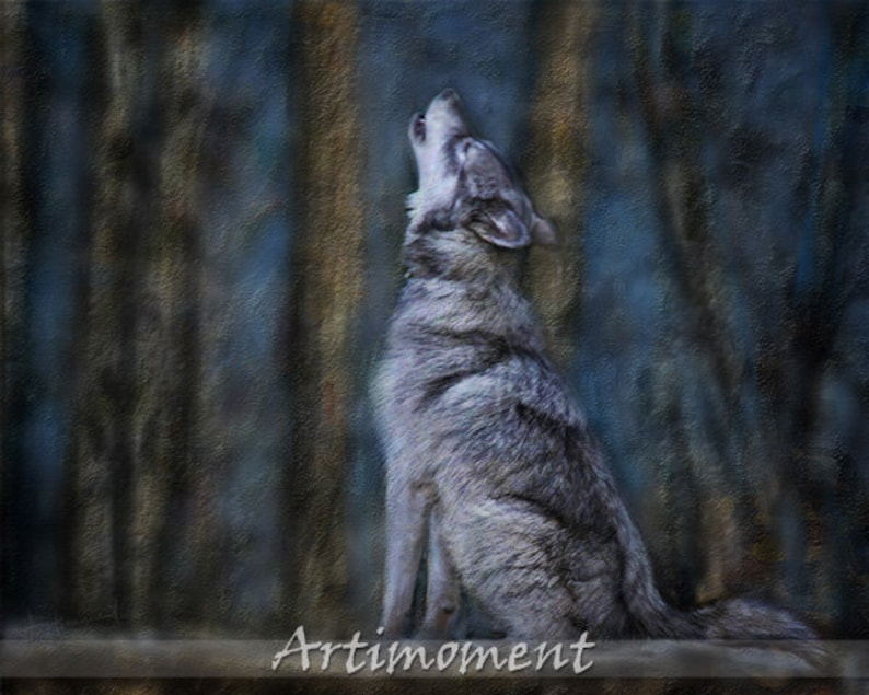 May include: A gray wolf howls at the moon in a dark forest setting. The wolf is sitting on a wooden platform with the word "Artmoment" printed on it.
