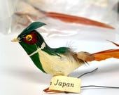 Item from this shop