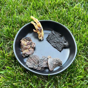 Hunde Leckerli Sampler