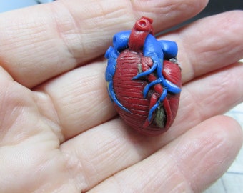 Anatomical Heart Necklace, Science, Geekery, Organ, Polymer clay Anatomy Necklace, Geeky, Jewelry,