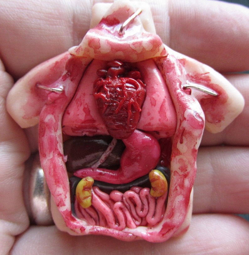 Realistic Polymer clay Autopsy Necklace Anatomical Heart | Etsy