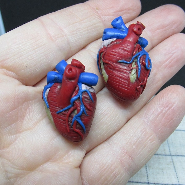 Anatomical Heart Earrings, My Heart Belongs To You, Science, Geekery, Organ, Polymer clay Anatomy Earrings, Geeky, Jewelry,