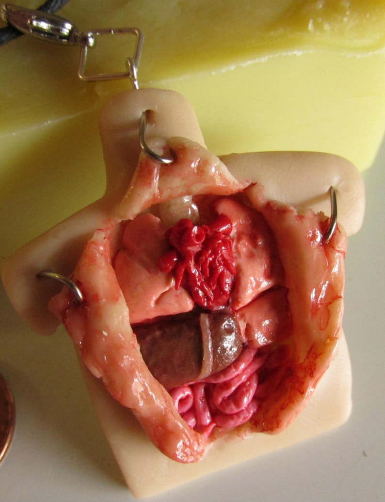 Realistic Polymer clay Autopsy Necklace Anatomical Heart image 1