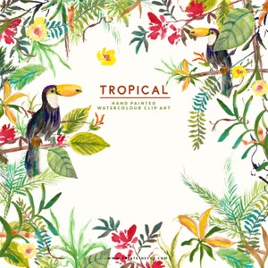 May include: Watercolor clip art featuring toucans and tropical plants. The toucans are perched on branches with yellow, red, and green leaves. The text "TROPICAL HAND PAINTED WATERCOLOUR CLIP ART" is in the center of the image.